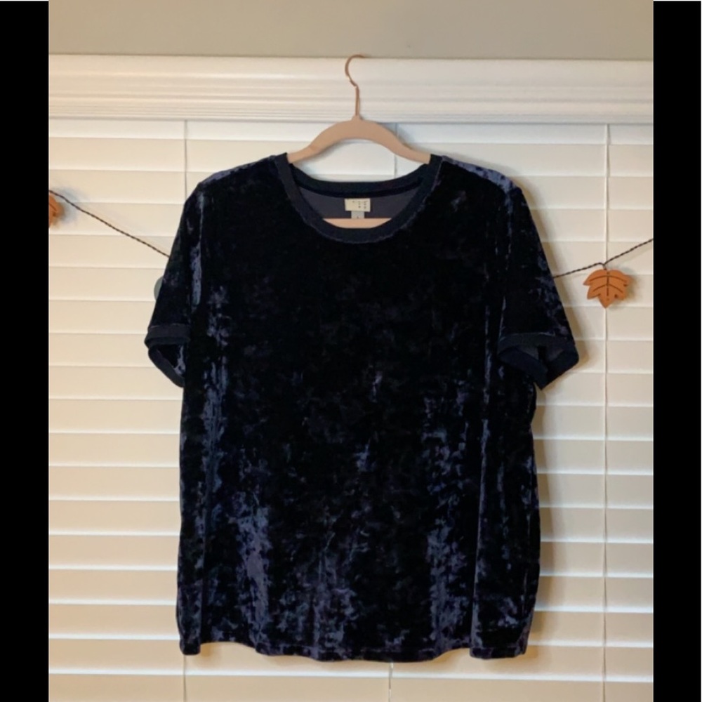 Velvet baby blue blouse